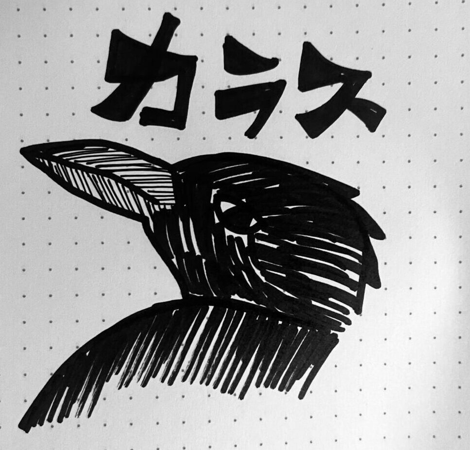 カラス